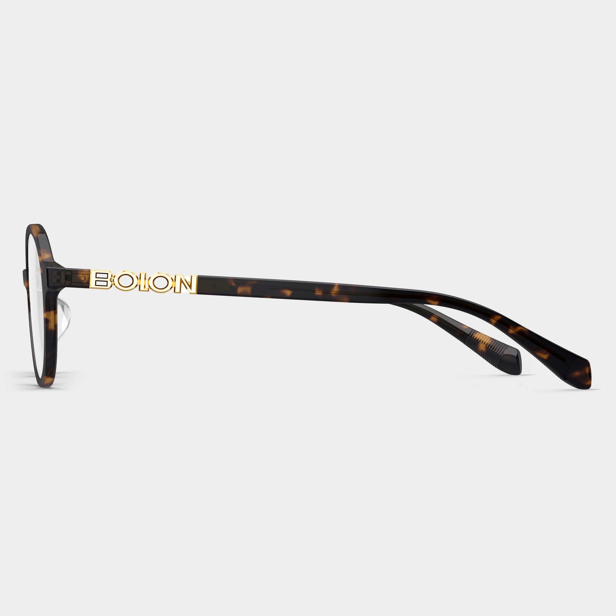 Tortoiseshell