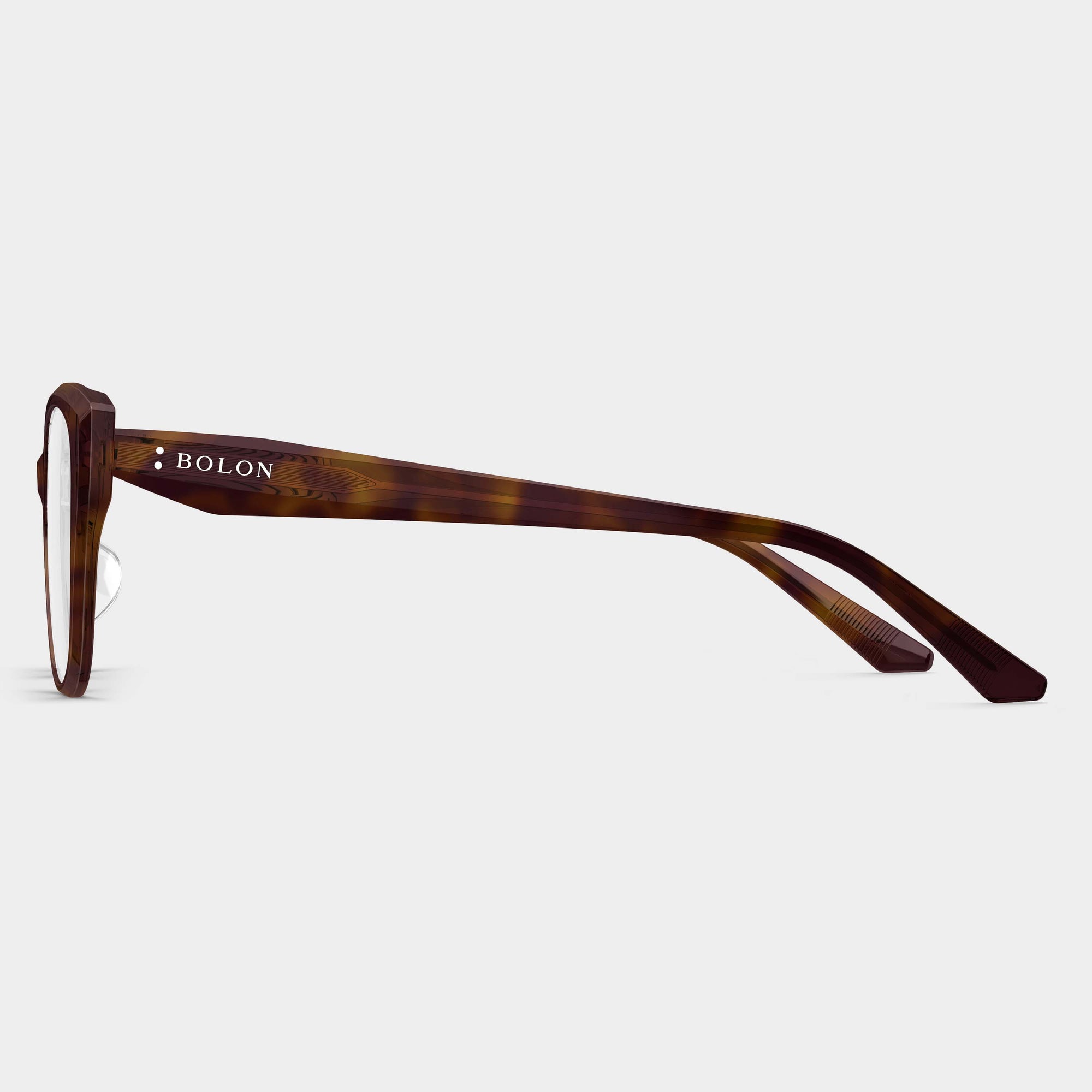 Redish Orange Tortoiseshell