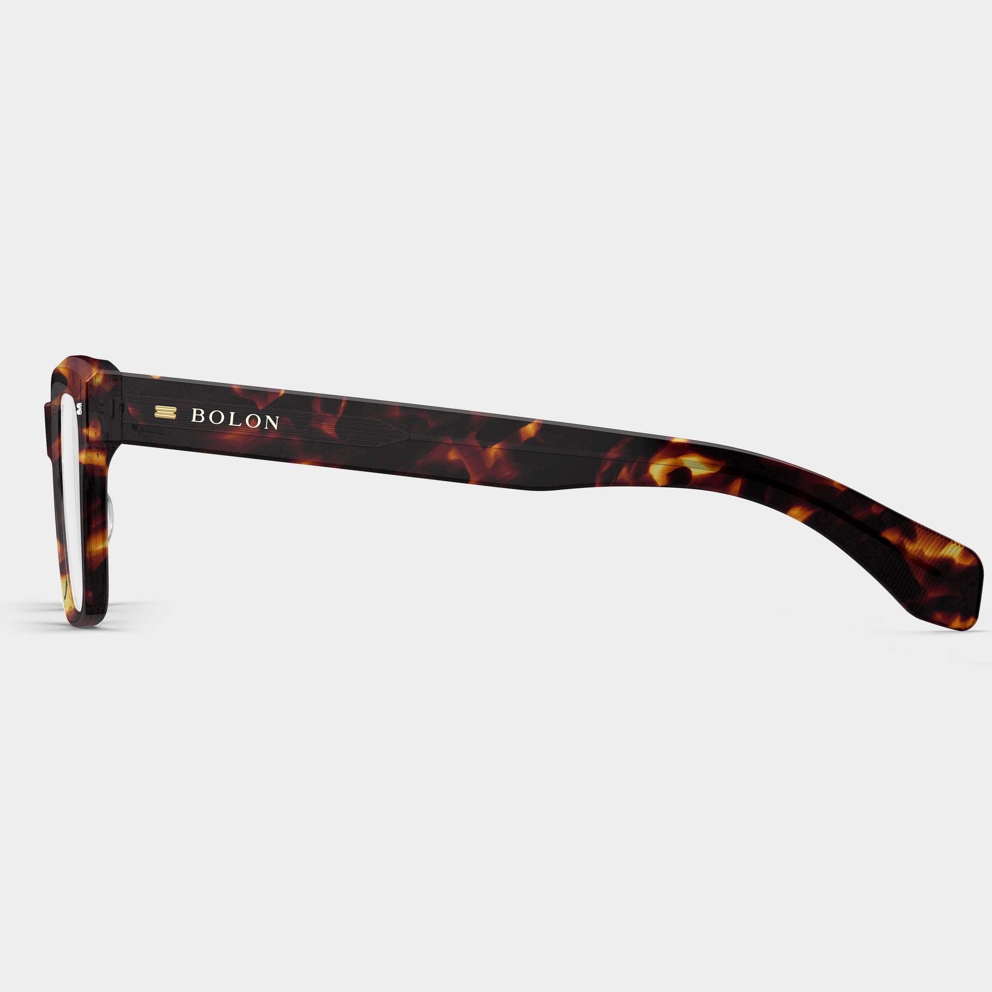 Tortoiseshell
