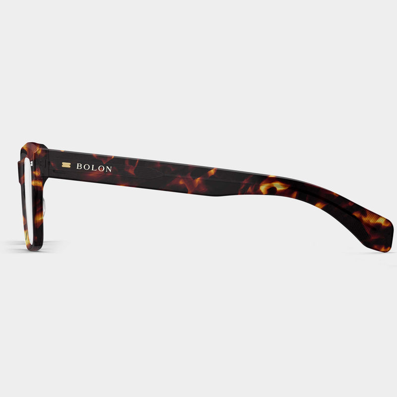 Tortoiseshell