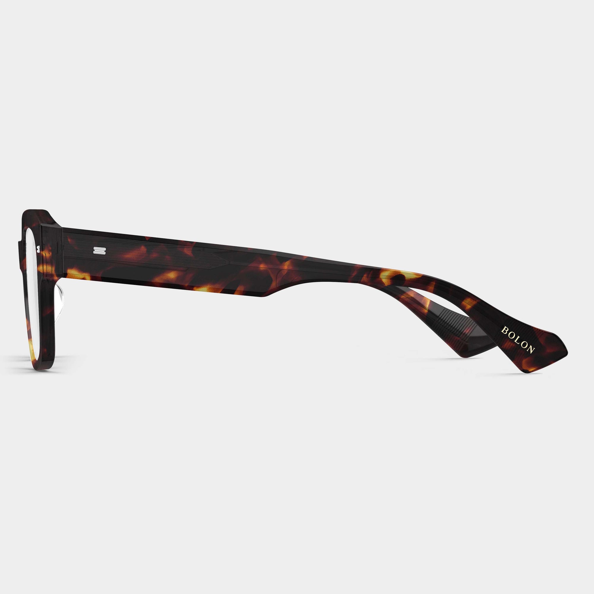 Tortoiseshell