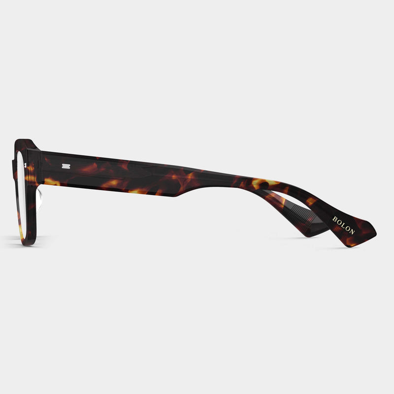 Tortoiseshell