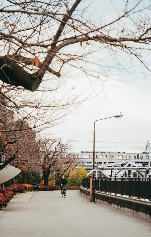 Sight Unstoppable Spring/Summer 25 Collection - Bolon Eyewear Global